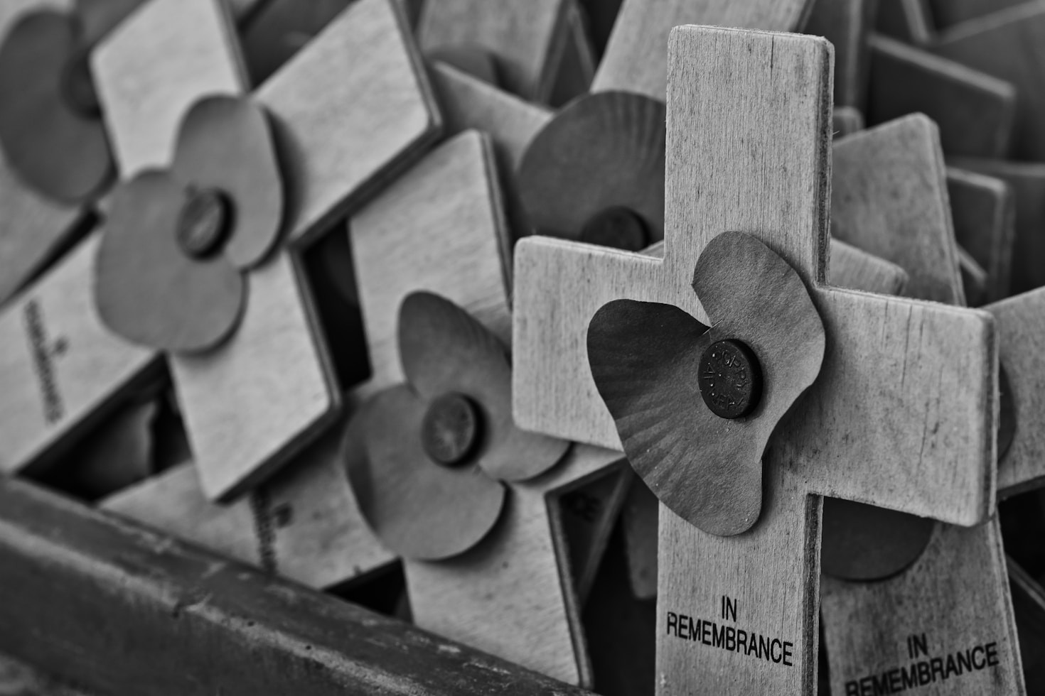 WWII’s Legacy Through a Medic’s Journey